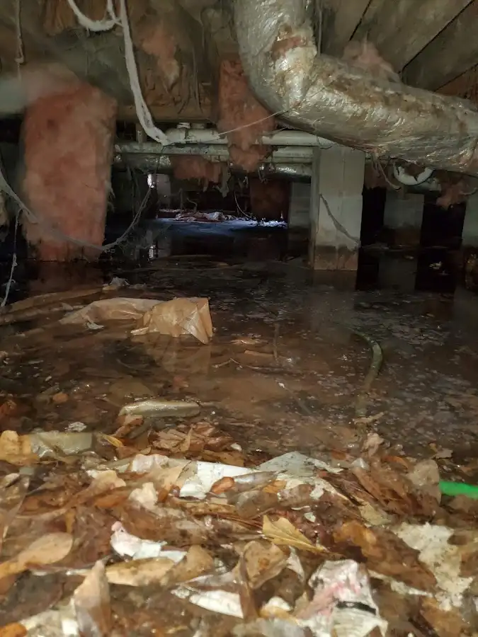 Crawl space flood assessment for Commercial Water Damage Restoration in Old Westbury